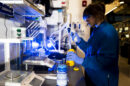 Students work in the Wet Lab Makerspace