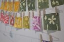Solar Ink Prints hanging on a wall