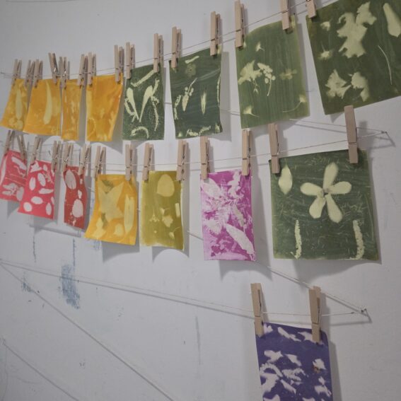 Solar Ink Prints hanging on a wall