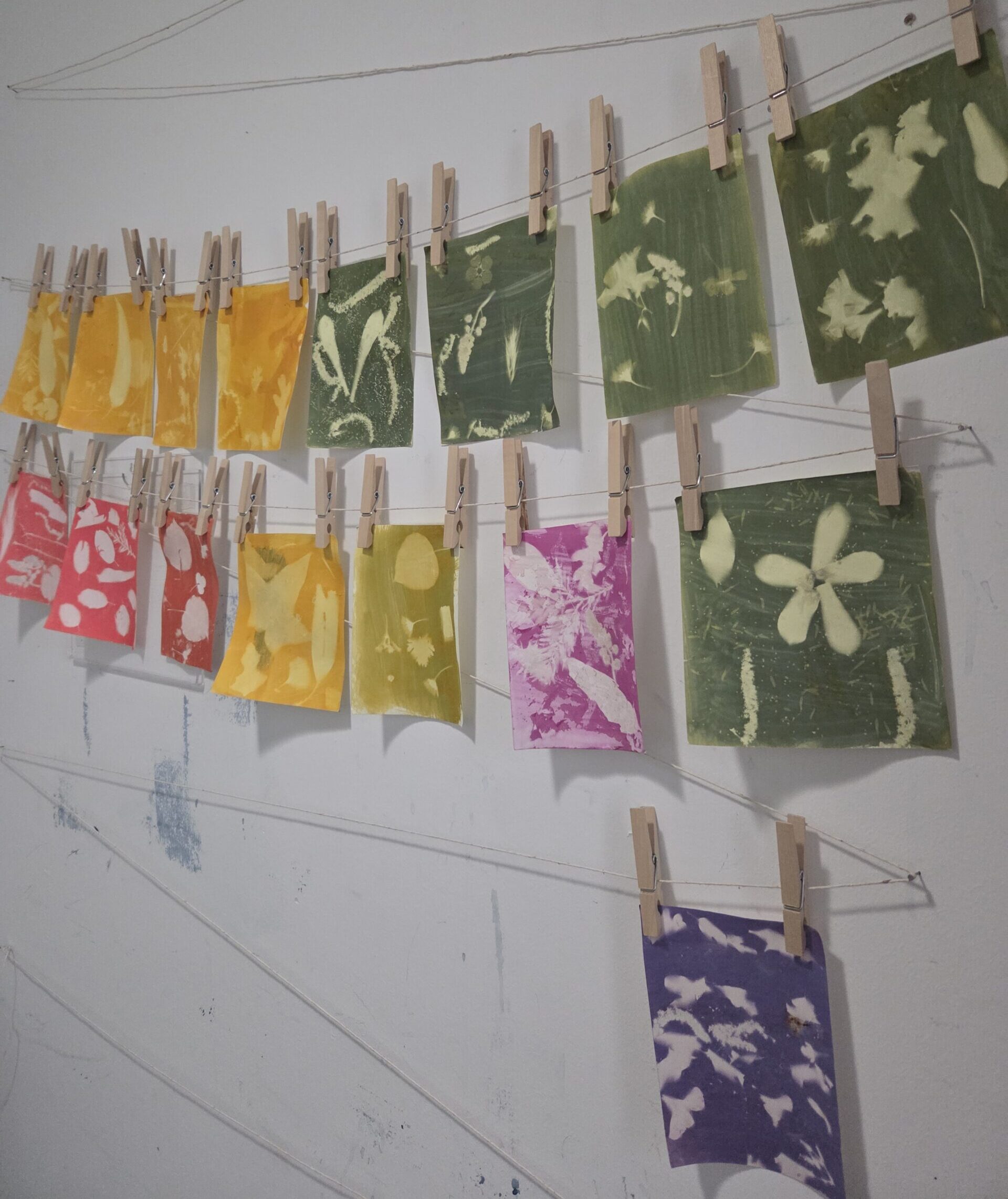 Solar Ink Prints hanging on a wall