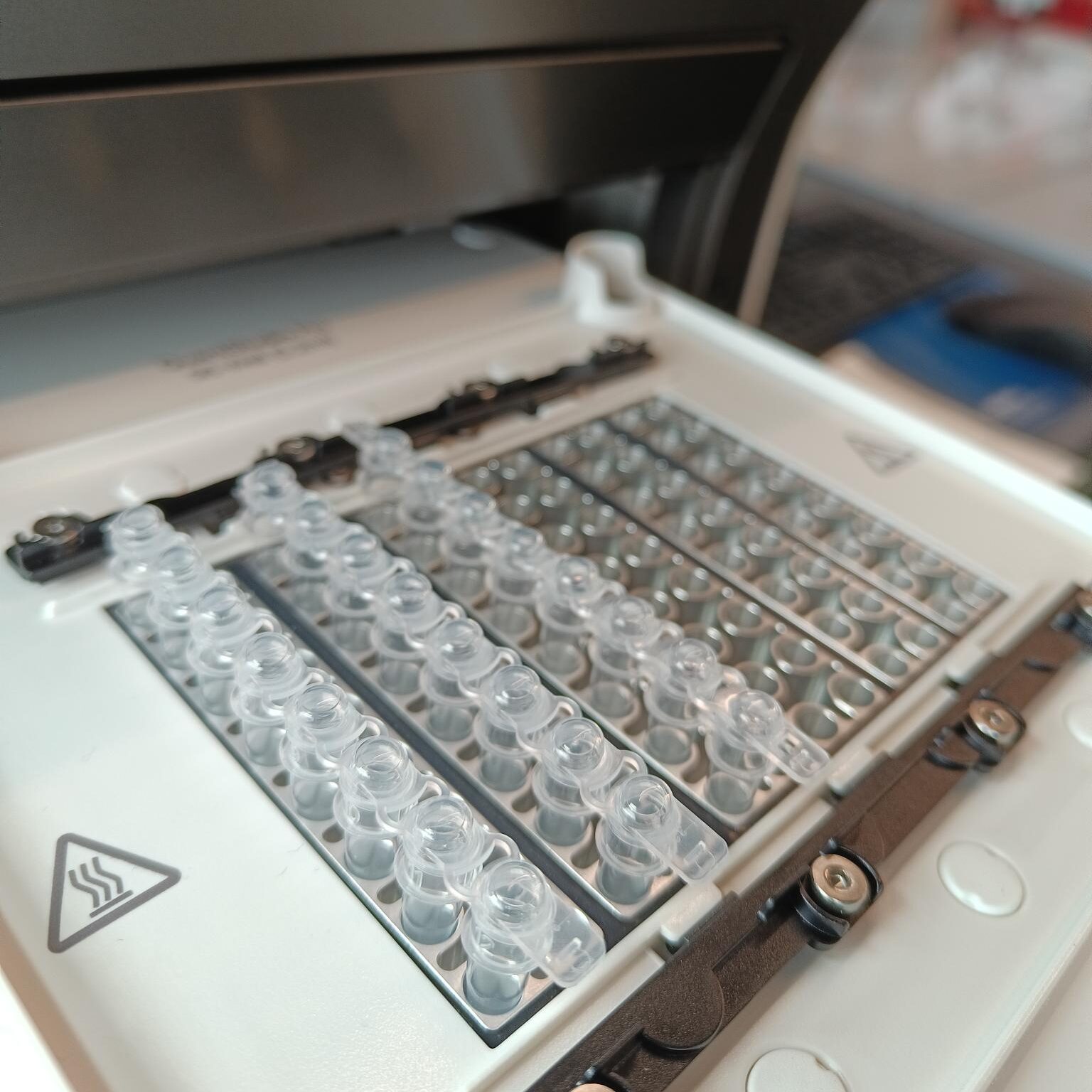 Biological media in the Wet Lab Makerspace