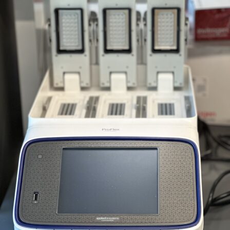PCR system