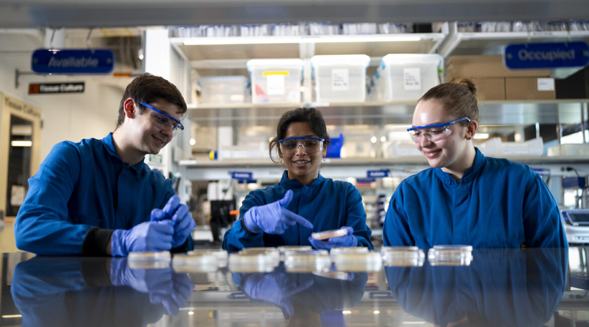 Three students in blue lab coats examine microbes in agar plates.