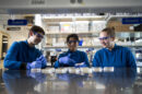 Three students in blue lab coats examine microbes in agar plates.