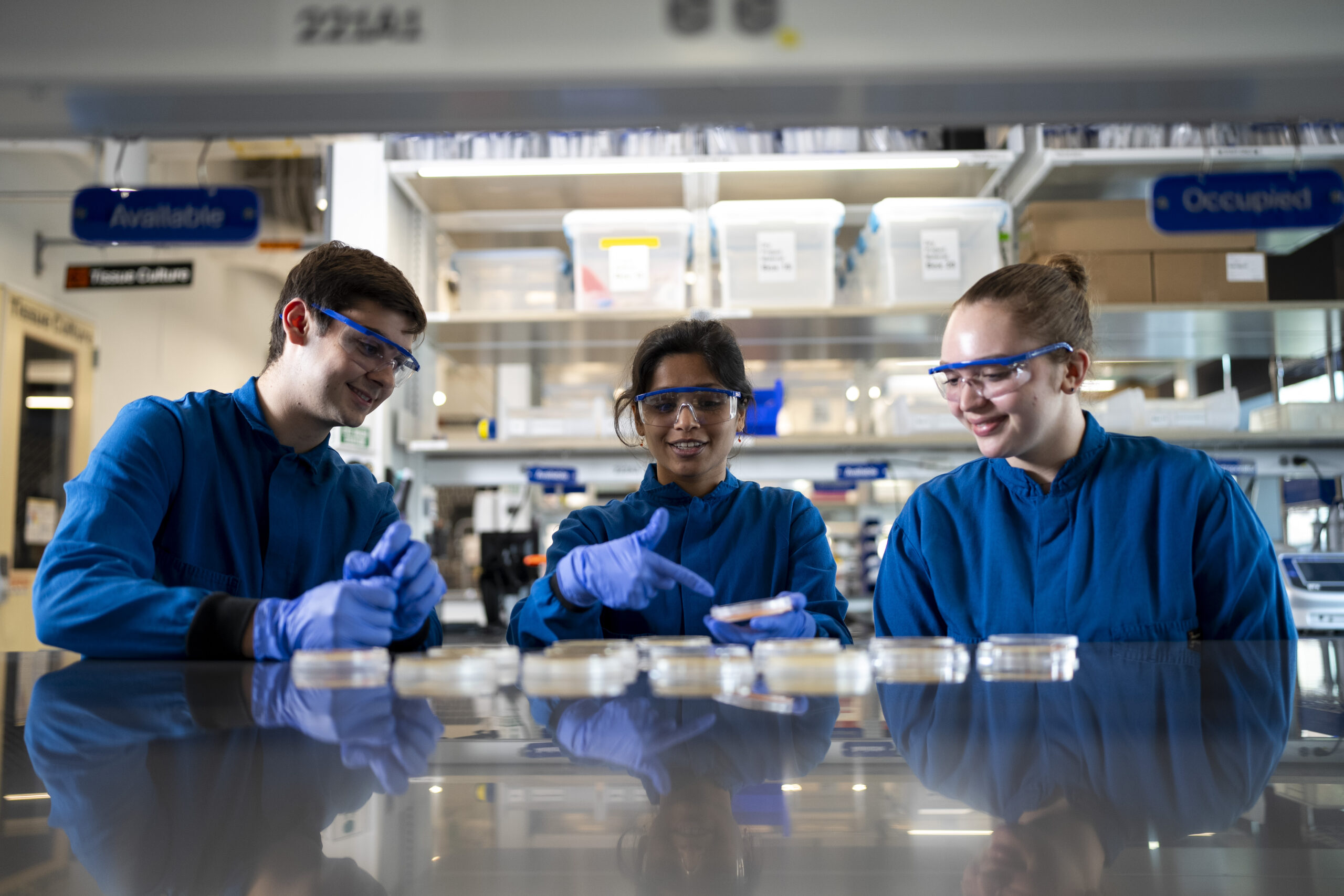 Three students in blue lab coats examine microbes in agar plates.