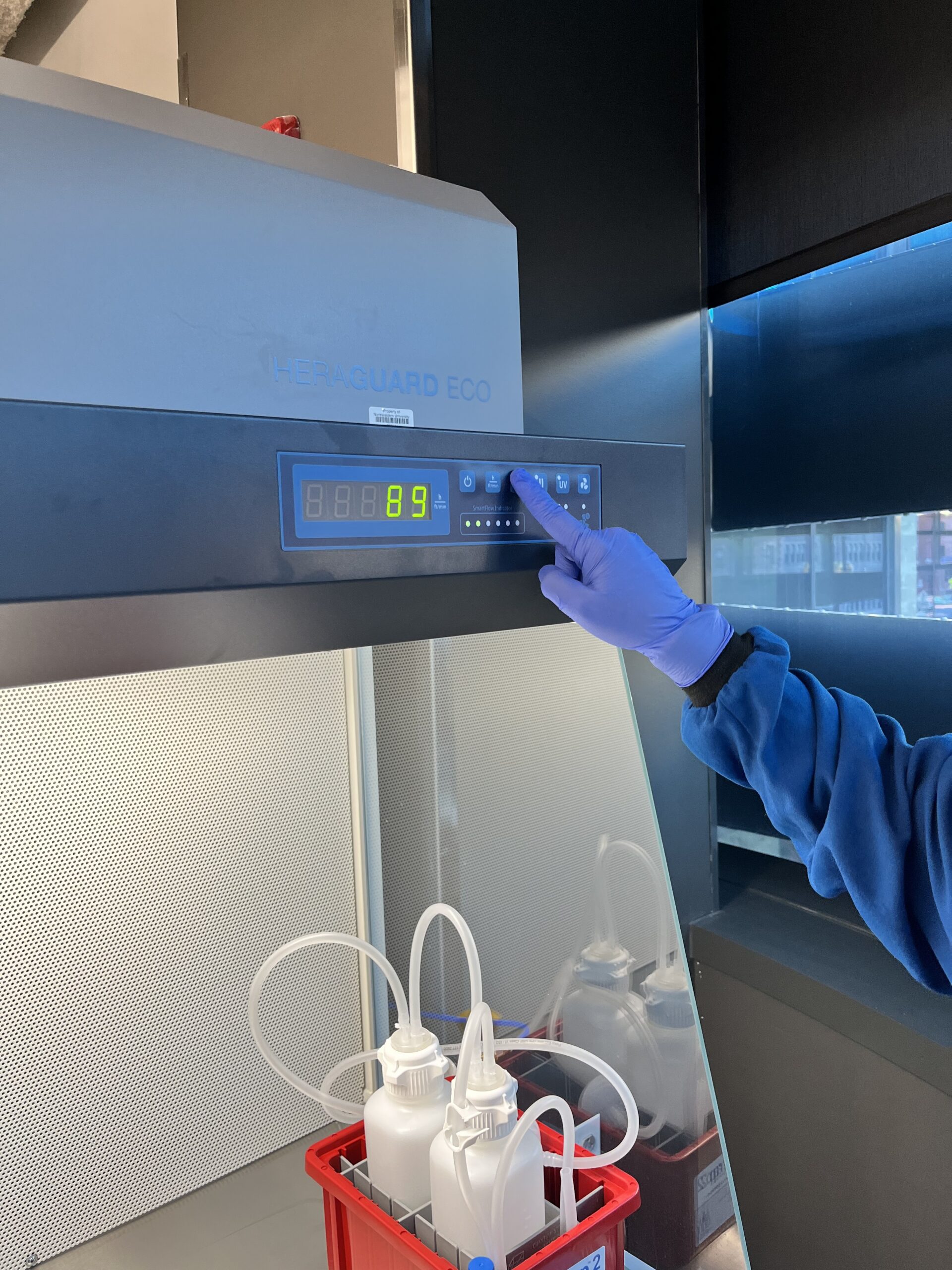 Pressing the Light button on the clean bench control panel