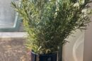 slab rolled planter